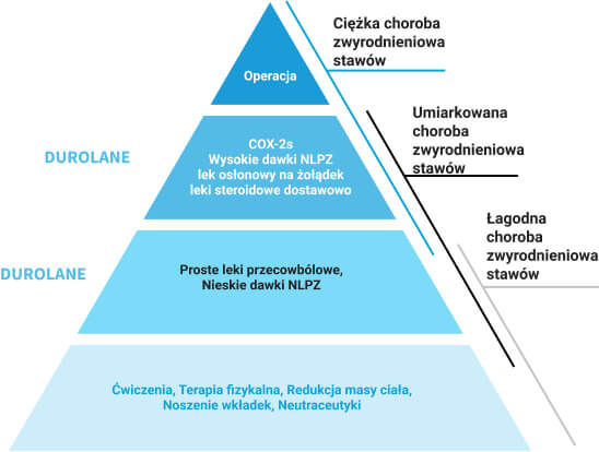 piramida choroby zwyrodnieniowej